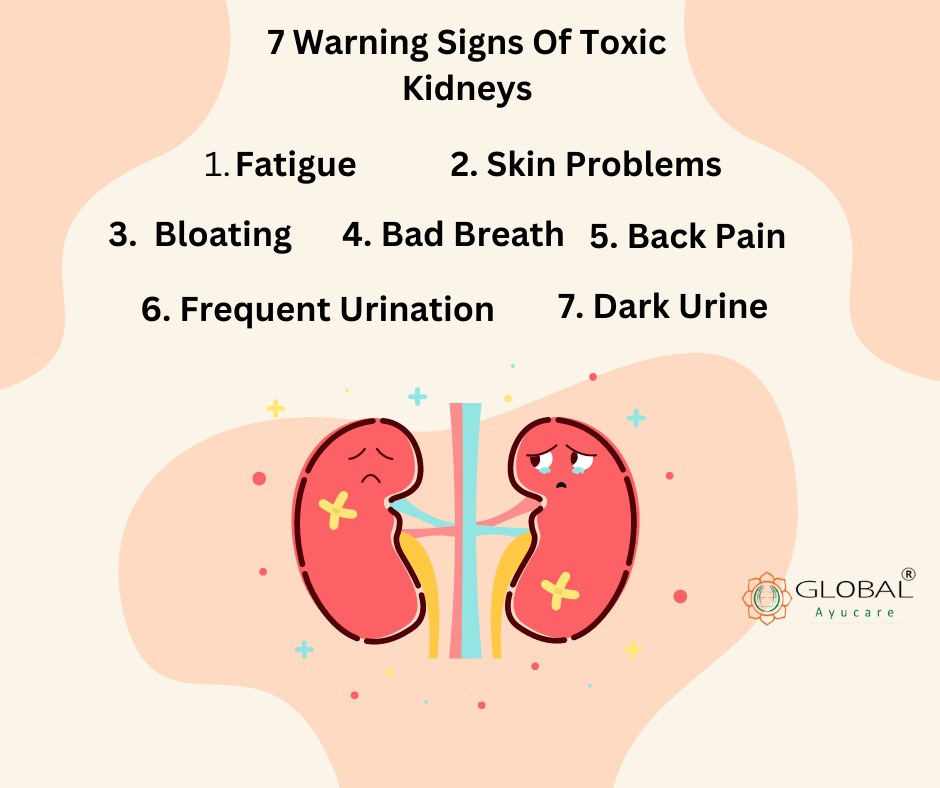 Are you aware of the signs that indicate your kidneys might be in trouble? 🤔 Here are 7 warning signs you should never ignore when it comes to your kidney health:

Click Here: tinyurl.com/y8jtvfsx

#KidneyHealth #ToxicKidneys #WarningSigns #HealthAwareness #WellnessTips