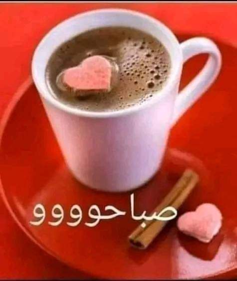 KuanNazir's tweet photo. @gaanm10 https://t.co/cD0l1IZ5f4