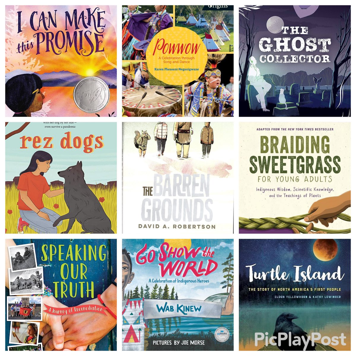 Shannon Mills tweet media