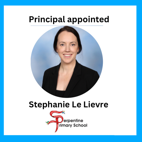 Serpentine Primary School tweet media