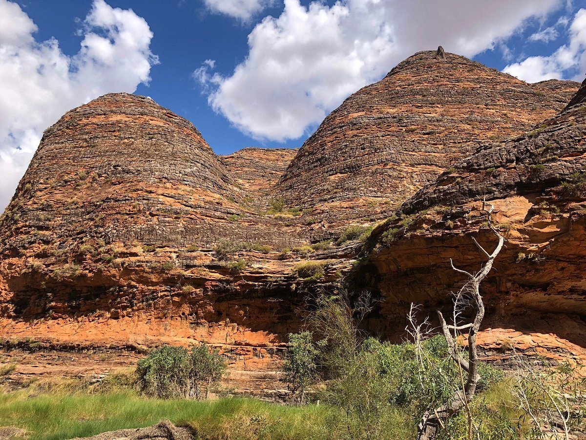 Witness the incredible rock formations of the Purnululu National Park in Western Australia, known as the Bungle Bungle Range. These distinctive orange and black striped domes are a sight to behold and have been recognized as a World Heritage site. #BungleBungle #RockFormations