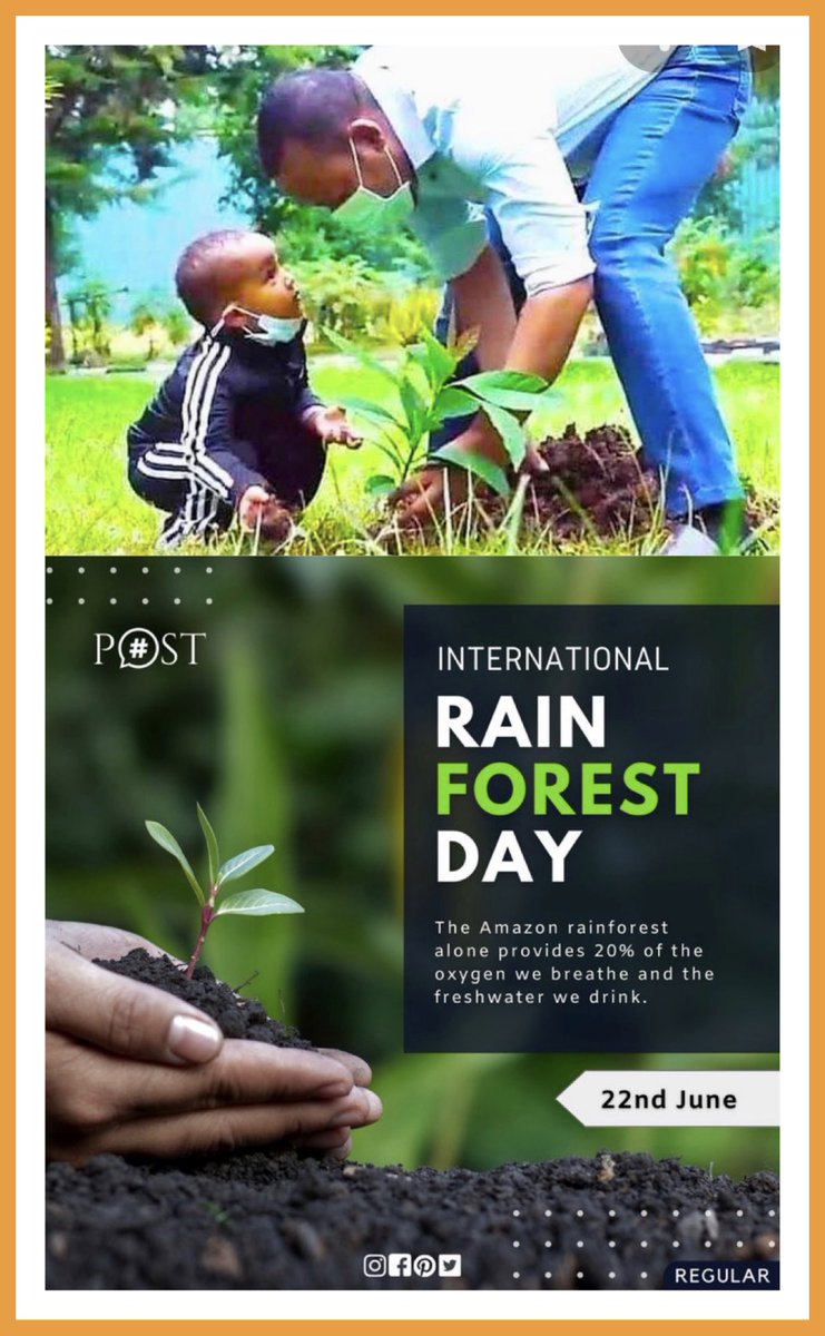 #WorldRainforestDay #rainforest
#saveourforests #greenplanet #rain
#nature #GreenLegacy #Ethiopia