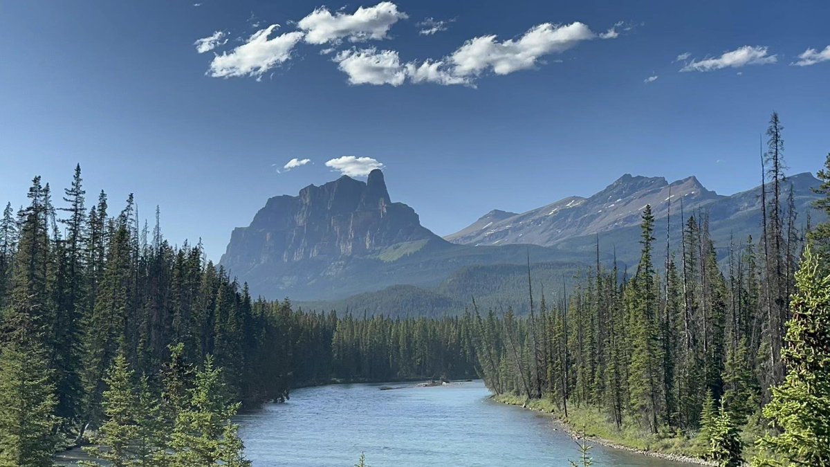 小娟牛 tweet media