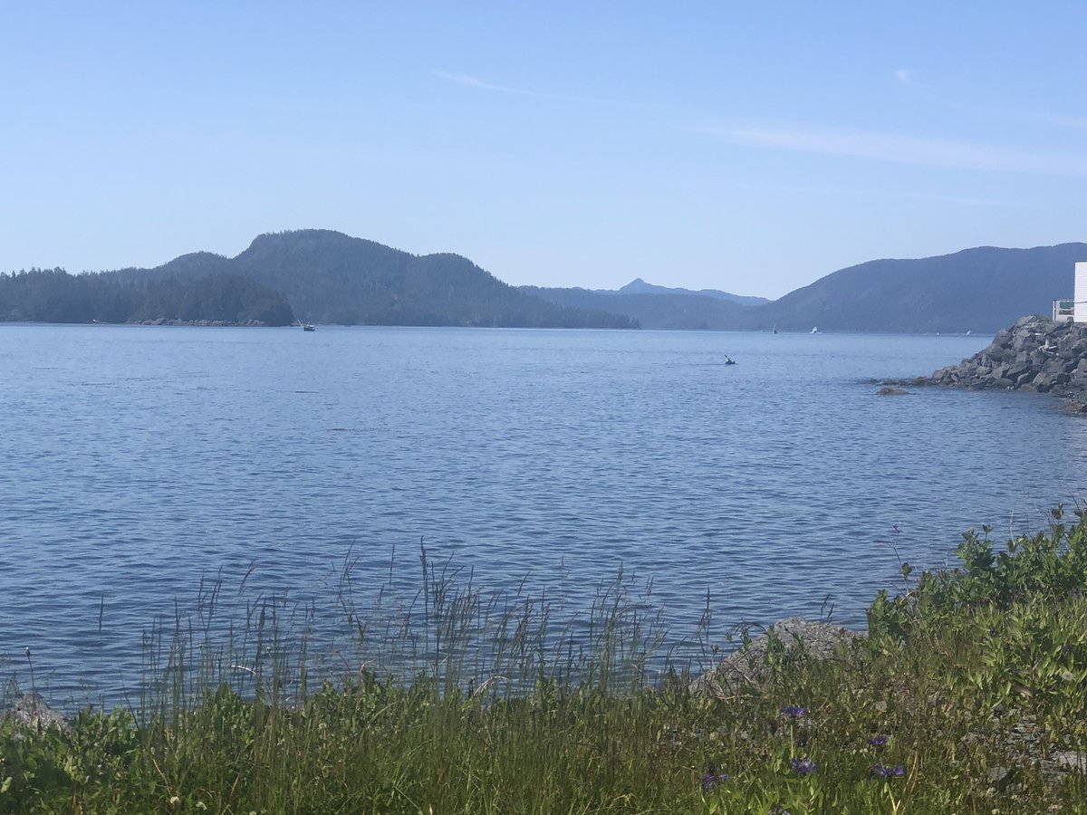alaskamom2002's tweet photo. @gomer2323 View from the patio https://t.co/1JxQHd6oy7