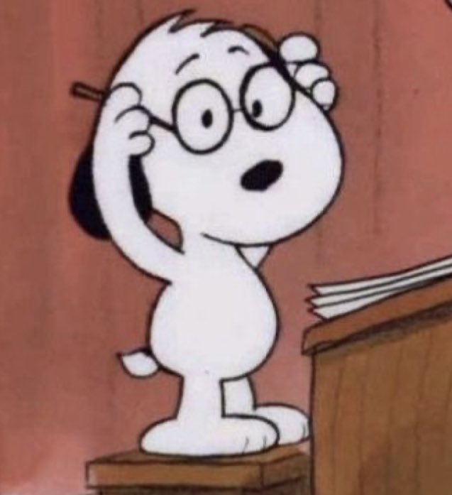 THIS PICTURE OF SNOOPY IS SO GANSEY