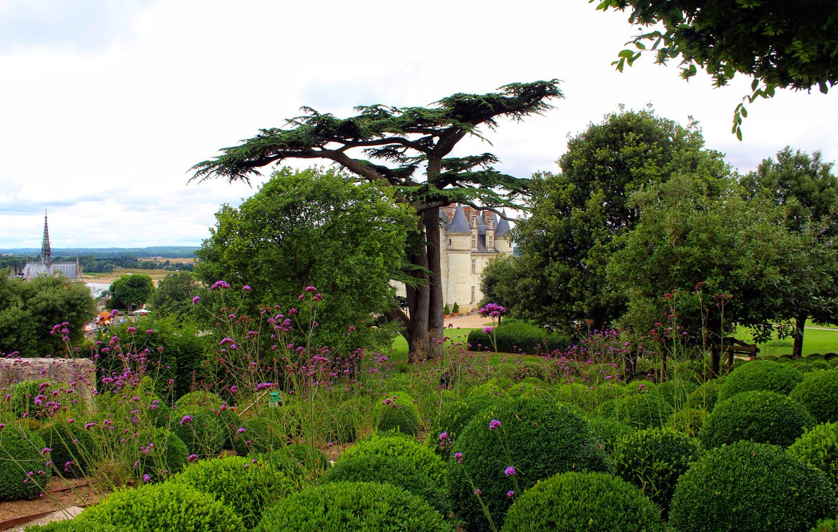 Le château d'Amboise apparaît au détour des jardins qui lui servent d'écrin.

#centrevaldeloire #touraine #indreetloire #chateau #jardin #monument #patrimoine #paysage #photographie #FranceMagique #BaladeSympa #MagnifiqueFrance