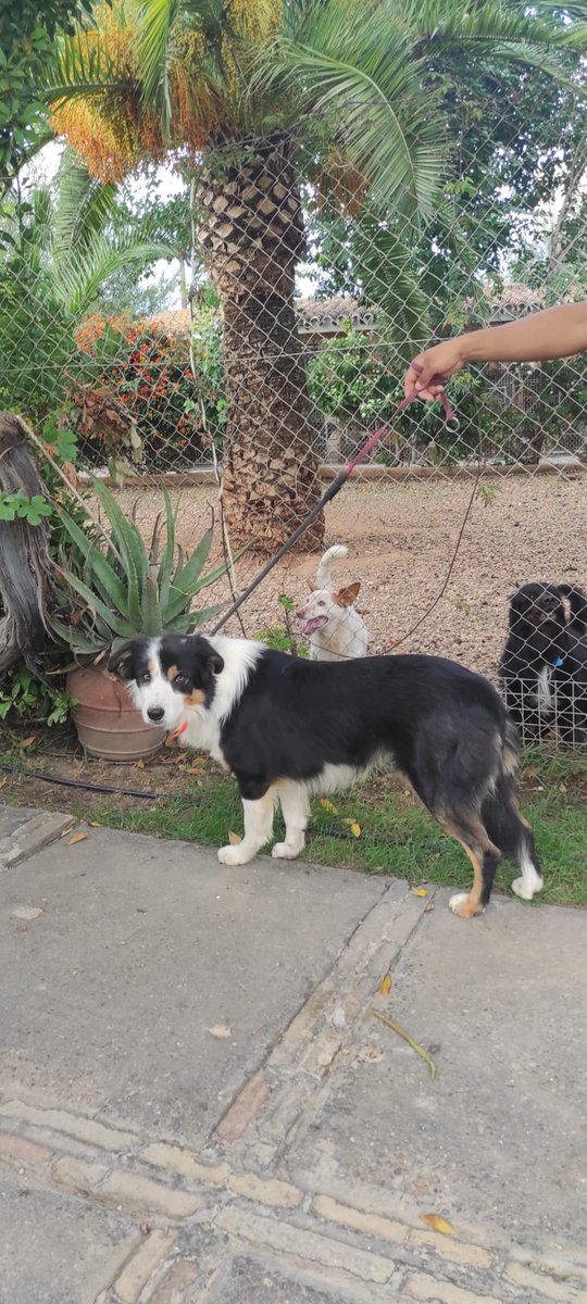 Borders Sin Fronteras tweet media