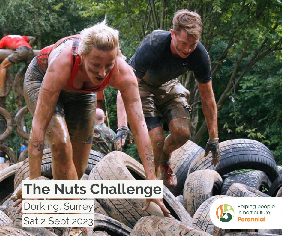 Perennial tweet media