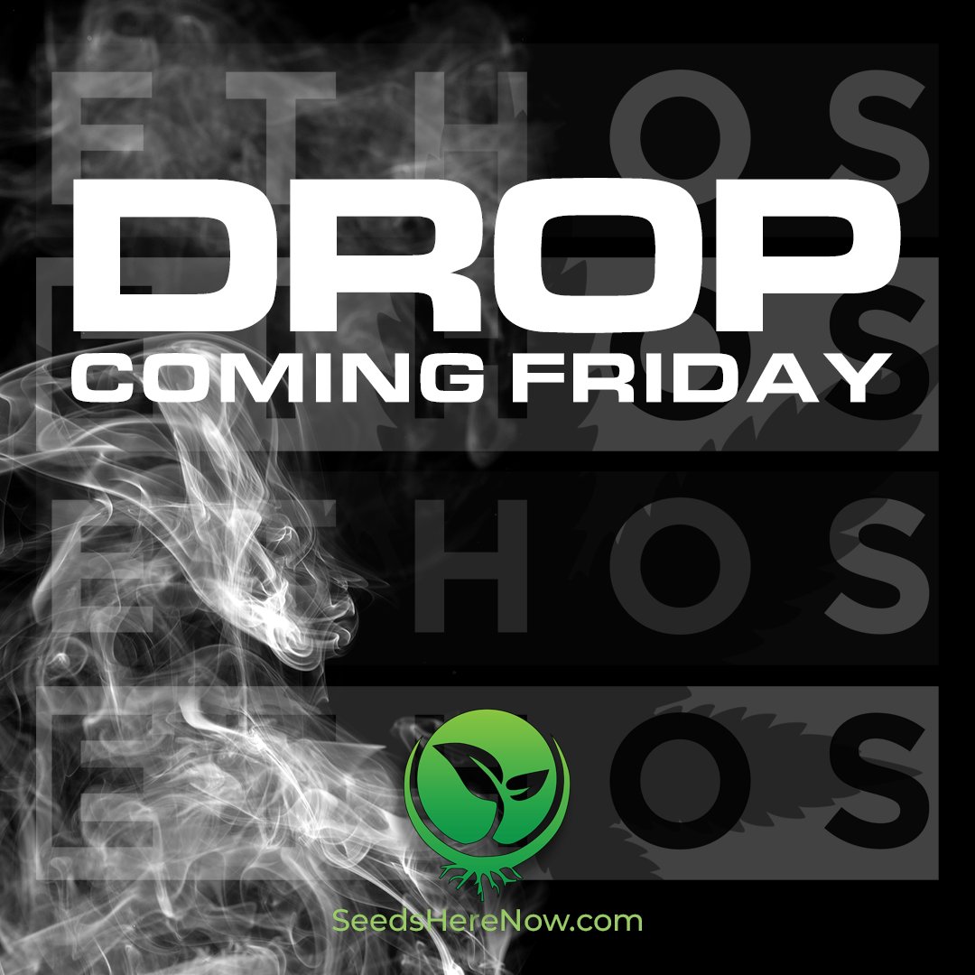 Drop takes place at 7:10 AM (PST)

#Cannabis #CannabisCommunity #cannabislife #Marijuana #cbd #420community #420friendly #420Life #ganja #WeedLovers #WeedLife #Bong #mmemberville #cannabisgrowers #seedsherenow