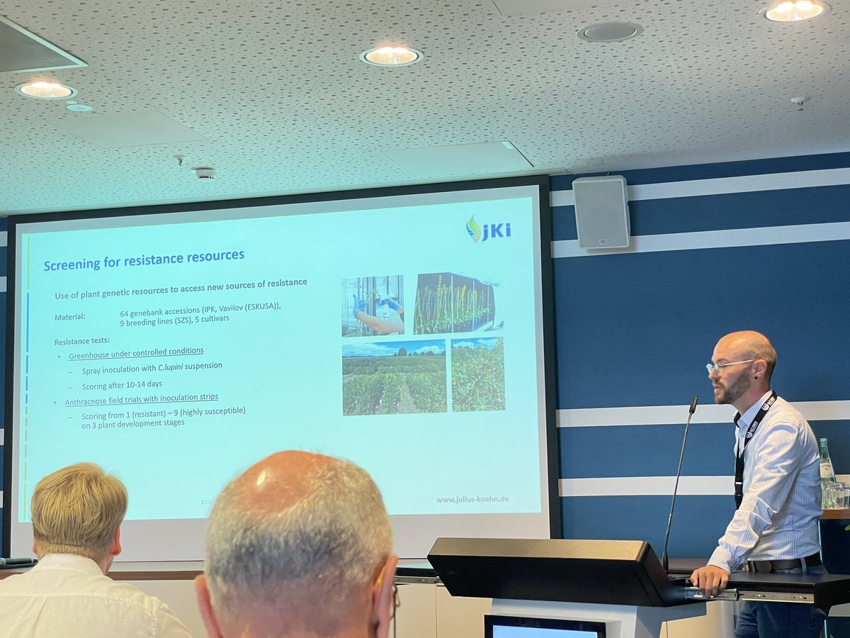 HPidon's tweet photo. After presenting us his field trial yesterday, @Haase_Flo is now showing us the data behind the search for anthracnose resistance in yellow lupin #ILC2023 #lupin2023 https://t.co/X9i7kIU3QO