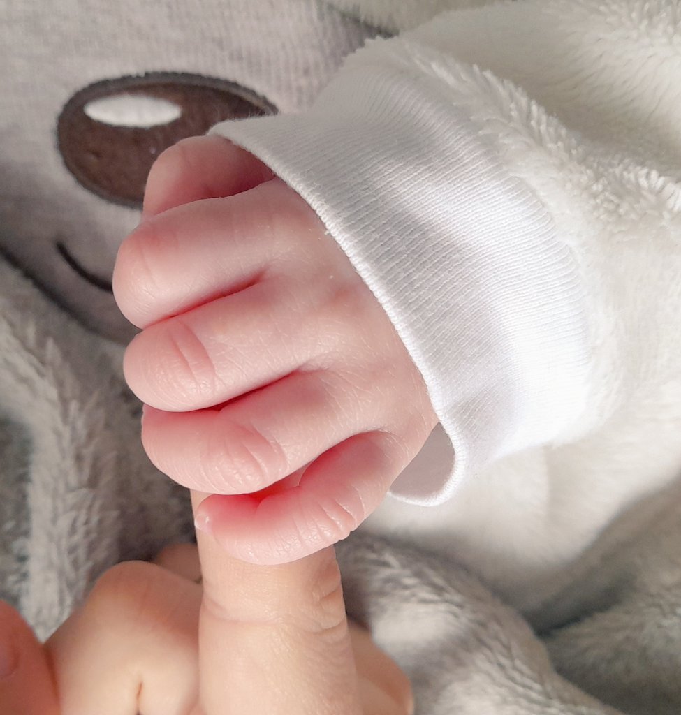 Lady Blue 🇪🇸 tweet media