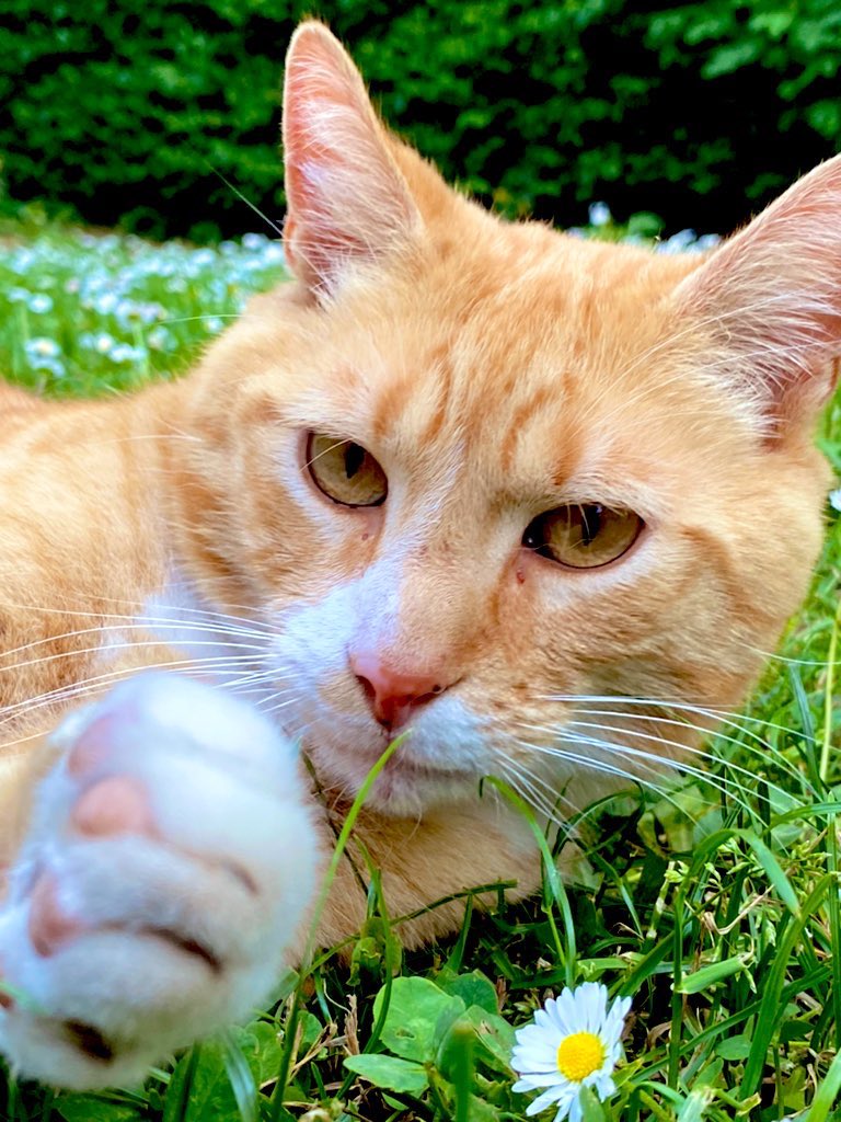 GM #NFTCimmunity
Reply 🐈 reply 🐈 reply 🐈 reply 🐈 reply 🐈 reply 🐈 reply 🐈 reply 🐈 reply 🐈 reply 🐈 reply 🐈 reply 🐈 reply 🐈 reply 🐈 reply 🐈 reply 🐈 reply 🐈 reply 🐈 reply 🐈 reply 🐈 reply 🐈 ...