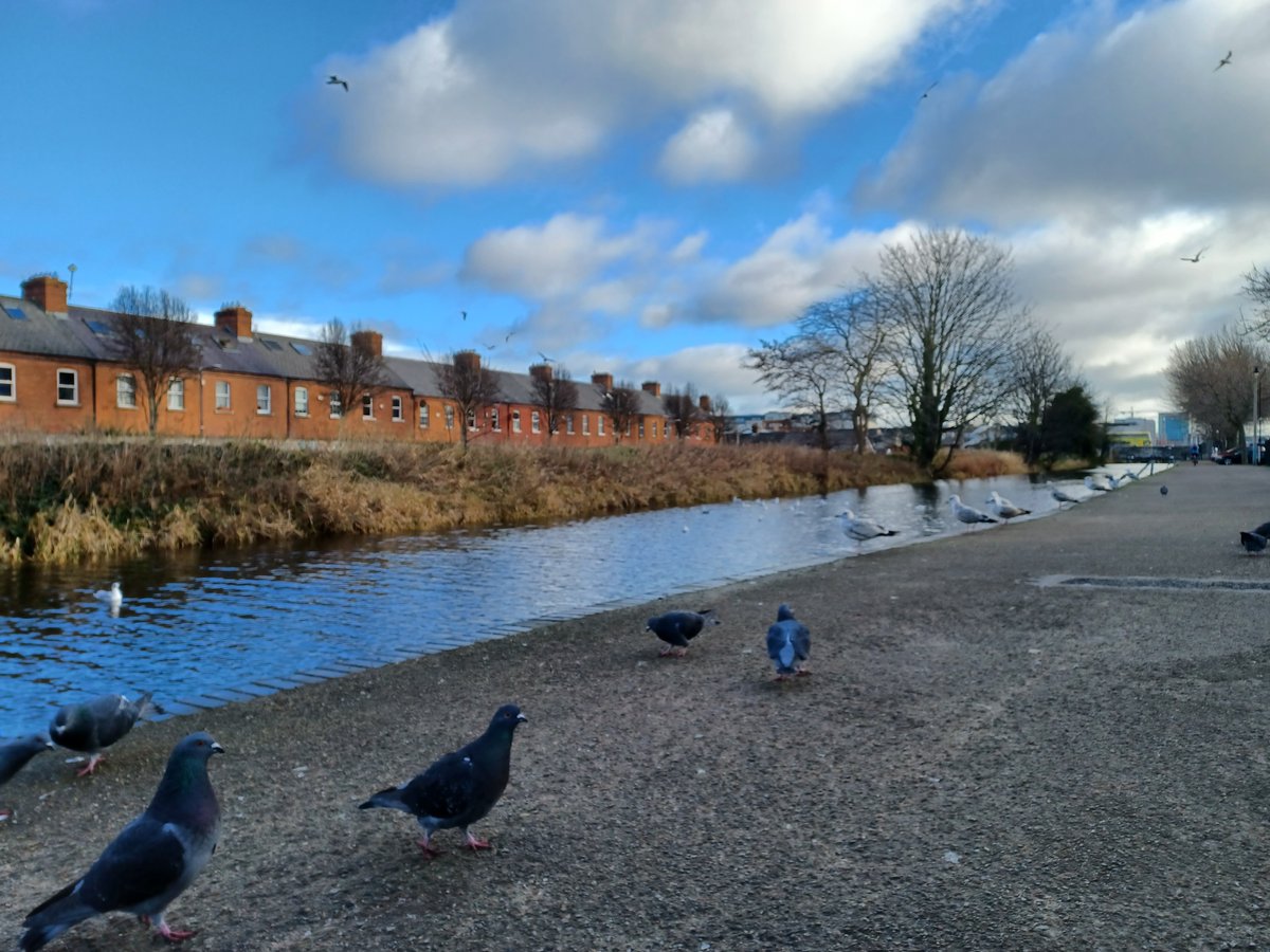 #CommunityCleanUp @BallyboughDub  this Sat, 24 Jun. Volunteers Welcome! Meet@2pm @ 8 Clonliffe Ave. Supported by @DubCityCouncil & @NEIC_Dublin. youtu.be/Yxe60v02HQI. @SherrardDublin @LCSP_DubNC #Ballybough #LeaveNoTrace #Litter #NEIC #PublicRealm #CivicPride #KeepDublinTidy