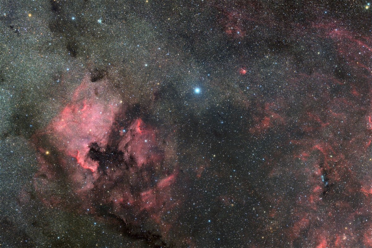 アンタレス付近、サドル付近があるならデネブ付近があってもいいじゃない！

#Astrophotography
#Deneb
#NGC7000
#北アメリカ星雲