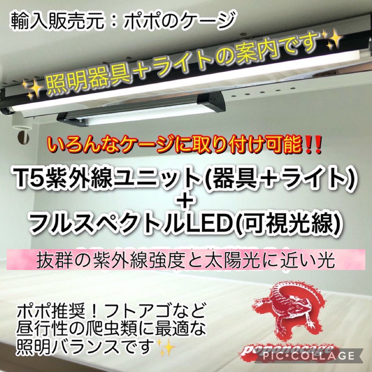 ポポの爬虫類ゲージ ポポのケージ