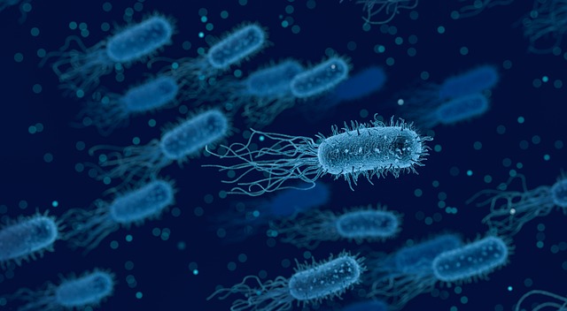 InfectDis_Ther's tweet image. Quantifying the Economic and Clinical Value of Reducing Antimicrobial Resistance in Gram-negative Pathogens Causing Hospital-Acquired Infections in Australia. Read the full text here: link.springer.com/article/10.100… #AntimicrobialResistance