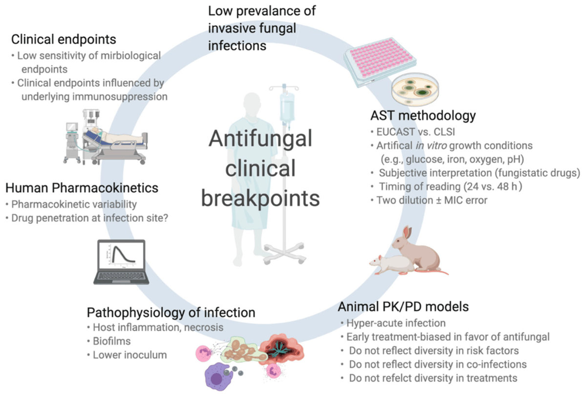📢🔝 This review provides an overview of the pre-clinical and clinical #pharmacodynamic data, which constitute the rationale for the use and interpretation of #antifungal susceptibility testing of #yeasts and #molds in clinical practice.
📜👉 More here: mdpi.com/2309-608X/7/1/…