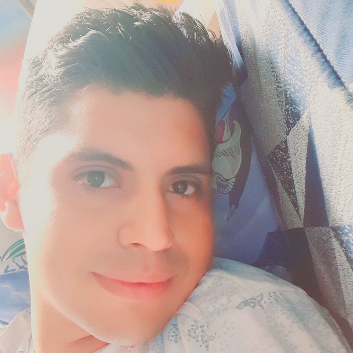 lara_imer's tweet image. XD