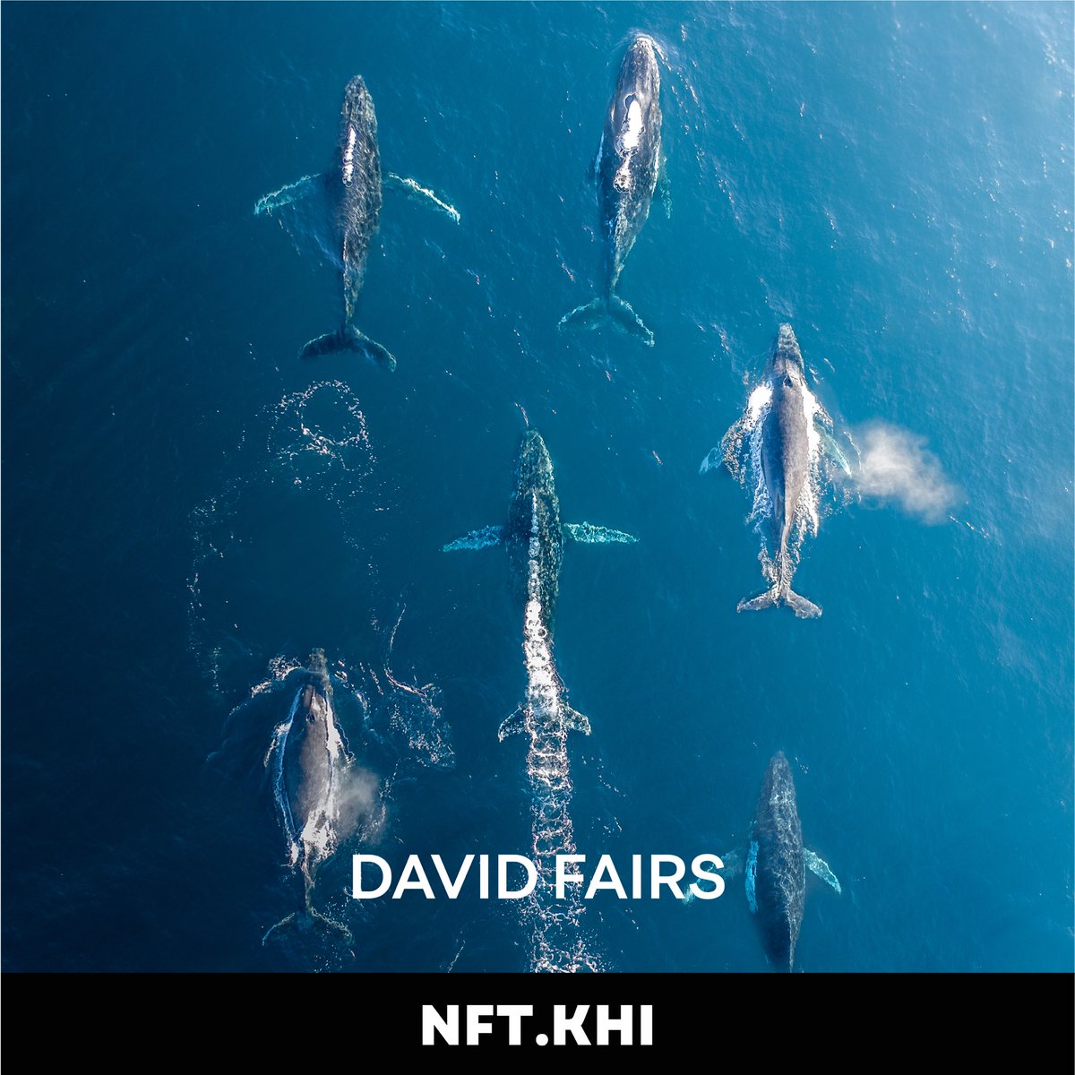 #NFTKHI X @newlightvisuals 
 
New Light Visuals is the label for all visual work by artist David Fairs. David has been a photographer, designer, animator, cinematographer, editor, sound designer and colourist for over fifteen years. 💚🔮

#CreoCurated
#AsIRLAsItGets

🇦🇺