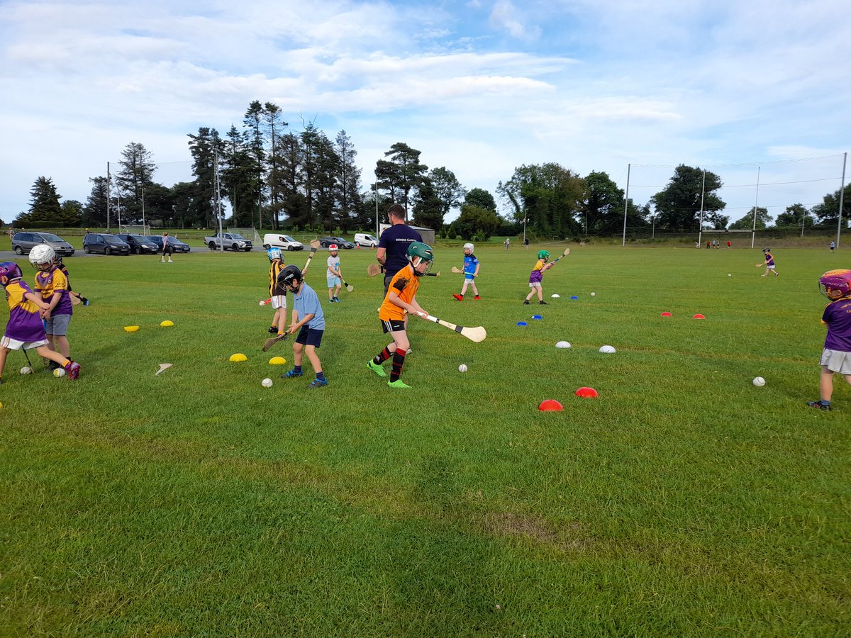 The @LoughLene u7s were in great form on Tues eve at our @gaaleinster Turas session. The boys worked very hard and showed some great skill throughout the evening. 👏👏💜💛