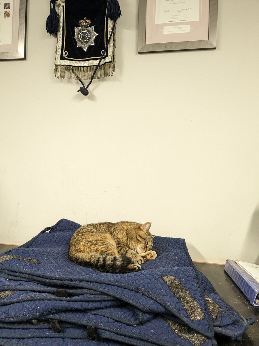 Met Police Taskforce tweet media