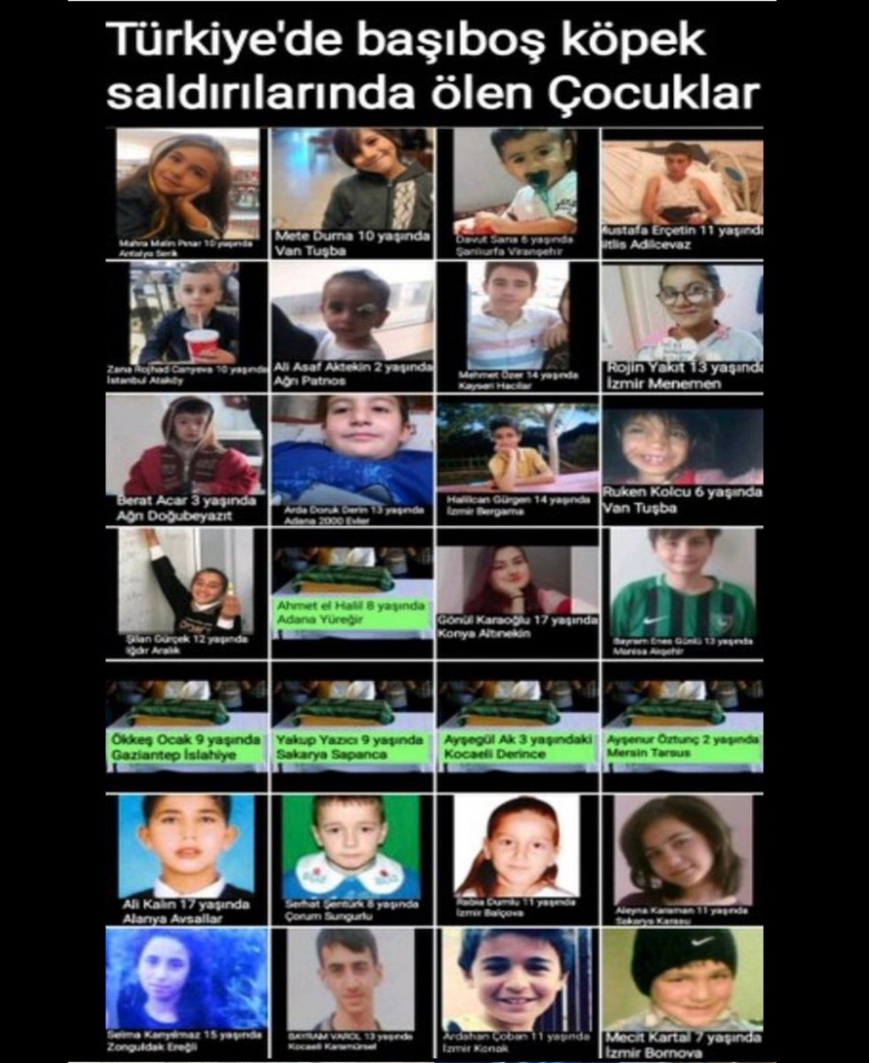 Cagrbey1071's tweet image. #gecegörüşü
@CNNTURKProgram 
@handefrt 
@zafersahin06 
@melikyigitel 
@ismetozcelik_ 
BAY @MASUMTURKER 
..
#BaşıBoşKöpekler
#içişleribakanlığı 
@AliYerlikaya 
. 
Allah rızası için bu problemi çözelim