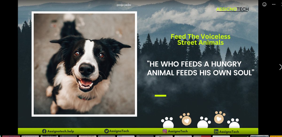 In a world where we can be anything, let's be kind. Extend your hand and fill their bowls. Together, we can make a difference. 🌟🐕 #FeedAStray #ChooseCompassion #FeedAStray #FeedTheStrays
#FeedThemWithLove #BeTheirHero #SpreadKindness