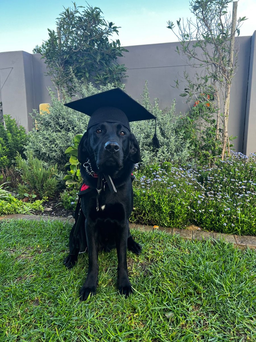 SAGuide_Dogs's tweet photo. Cole, and Ernie, you two have been bestowed with an important responsibility. As you embark on this new chapter of your lives as a qualified autism support dogs, we know that you will bring immeasurable comfort and companionship to your new humans.
#autismsupportdog https://t.co/HwNdhJj5yM
