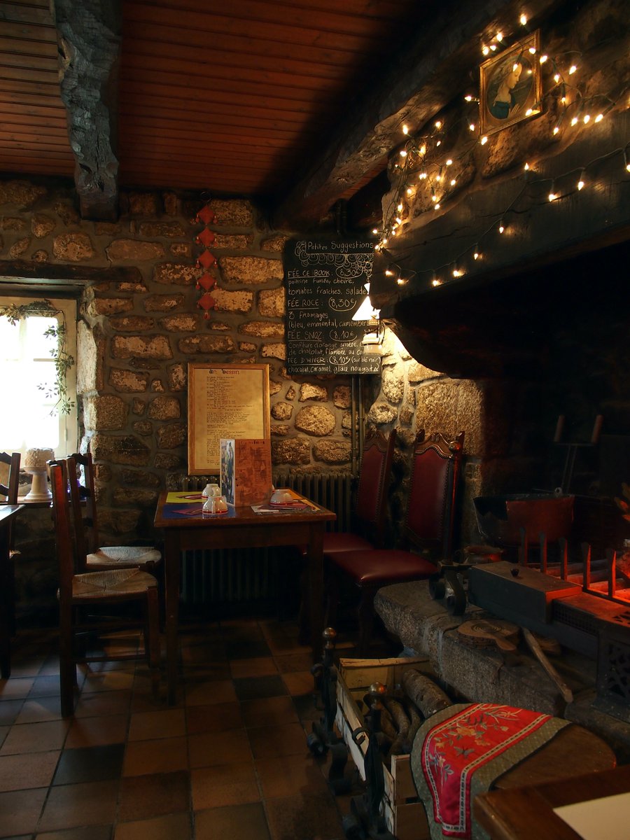 浅野光代 tweet media