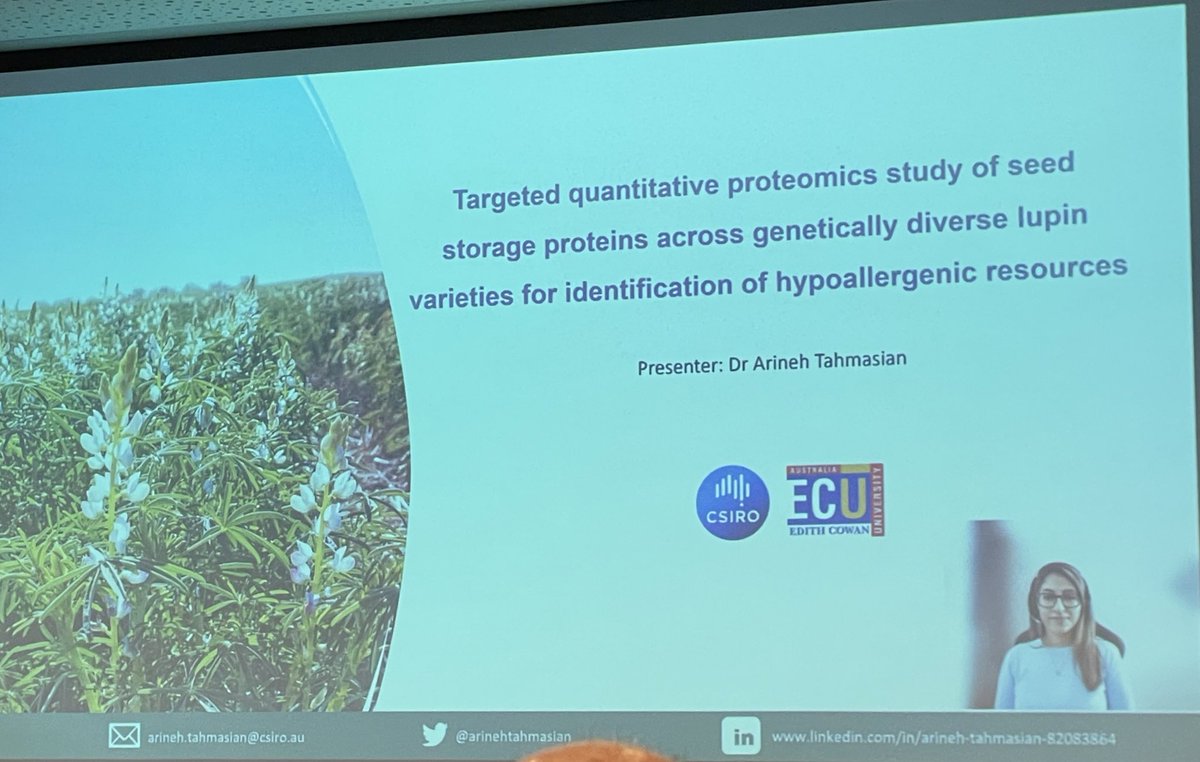@arinehtahmasian is presenting remotely her work on proteomics of seed storage proteins in narrow-leaf lupins to find low allergenic lupins #ILC2023 #lupin2023