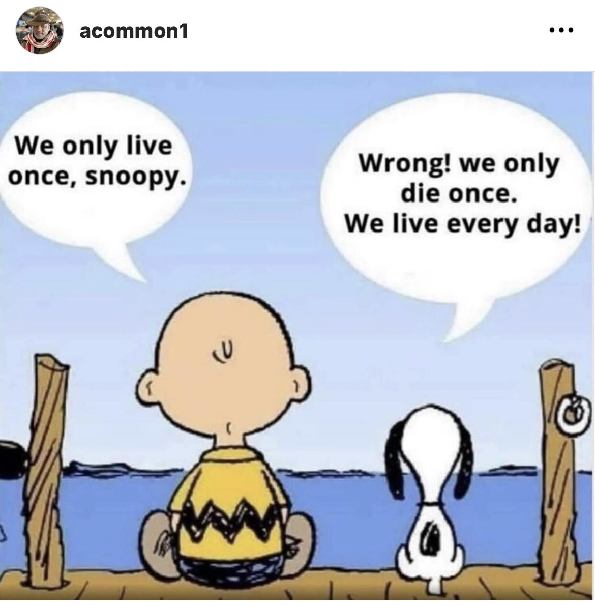 RobertNJohnson5's tweet image. Just … Live
#NerdHumor