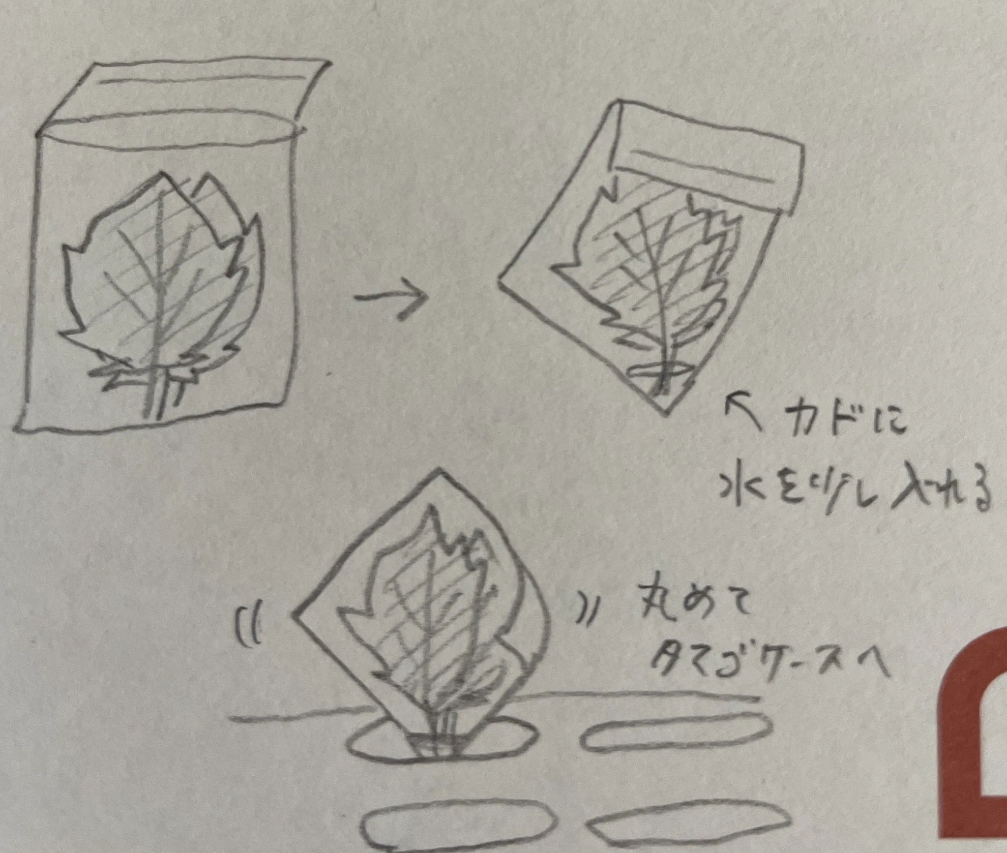 @tetsublogorg 大葉10枚パックを使いきれないときはこのようにして冷蔵庫で保管していました。マステで冷蔵庫のドア（内側）に貼ったり。
室温で良いのですね〜！びん可愛いです☺️ 
