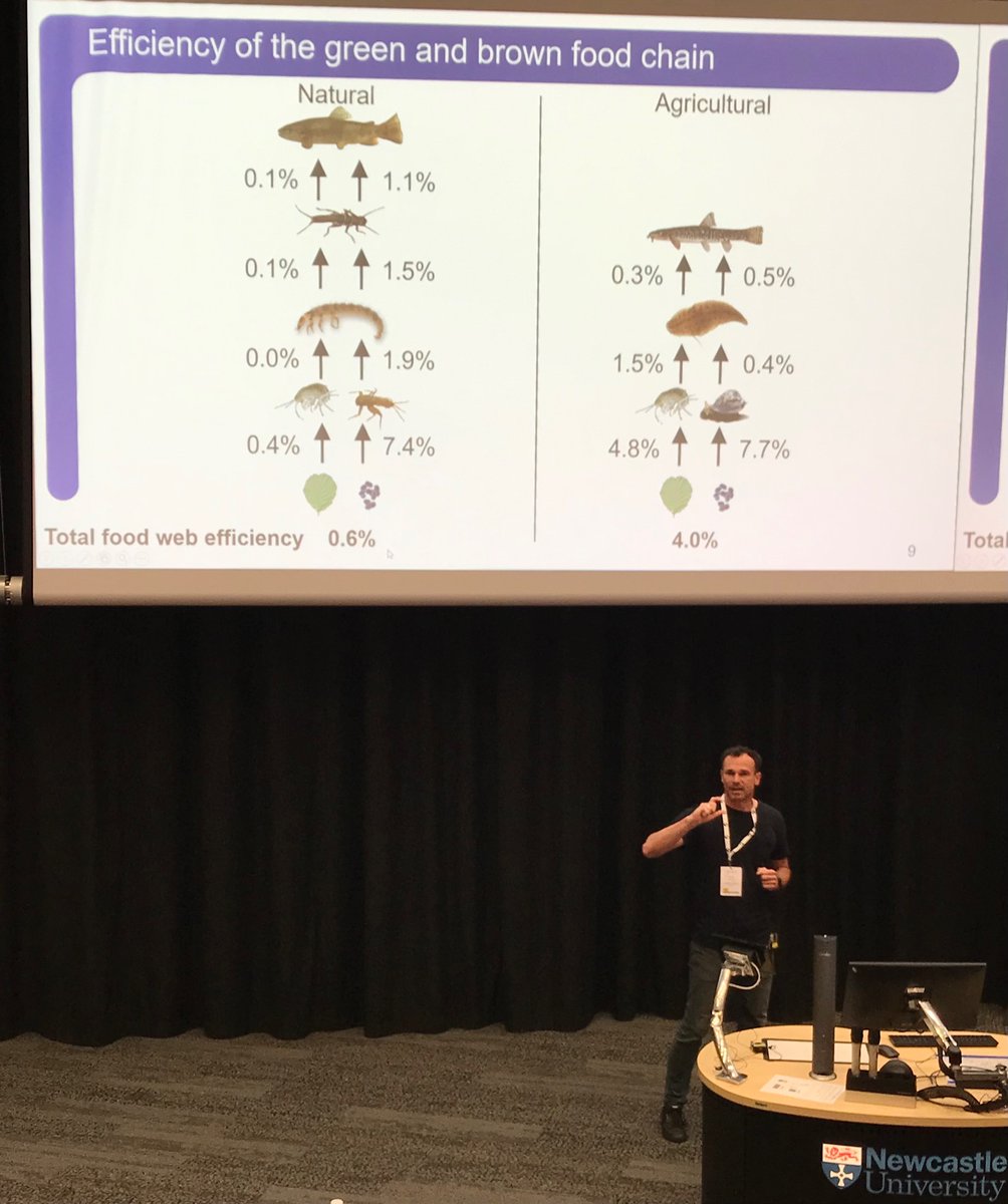 Mario @BraunsLab just gave an informative talk in the food web session at #SEFS13. He showed that food webs in agricultural streams can be more efficient compared to natural streams but are not efficient enough to control their high primary production