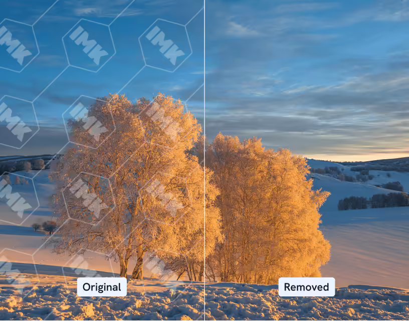 ThomasCeja4's tweet image. Remove unwanted objects effortlessly with Clearoff Object Remover. Transform your photos into flawless masterpieces with just a few clicks. Visit here clearoff.imagewith.ai  for more information. #Clearoff #ObjectRemover #PhotoEditing #FlawlessPictures
