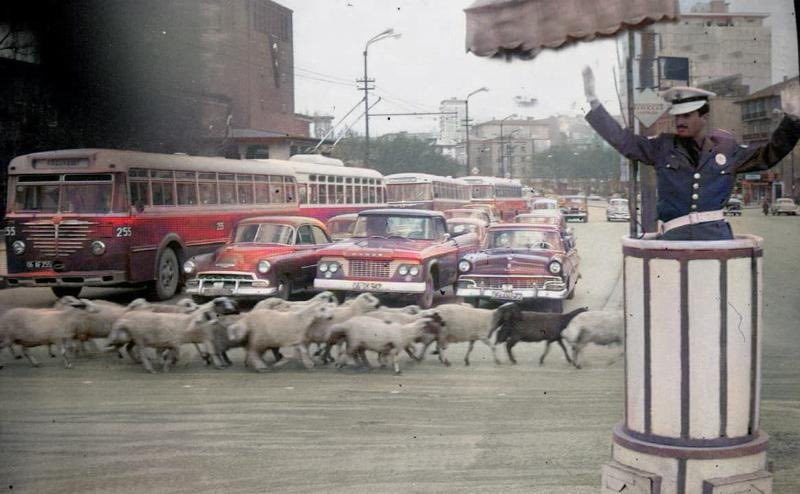 Yine bir Kurban Bayramı öncesi...

📍Ankara

🗓 1960’lar 

#tbt
#tarihtepolis