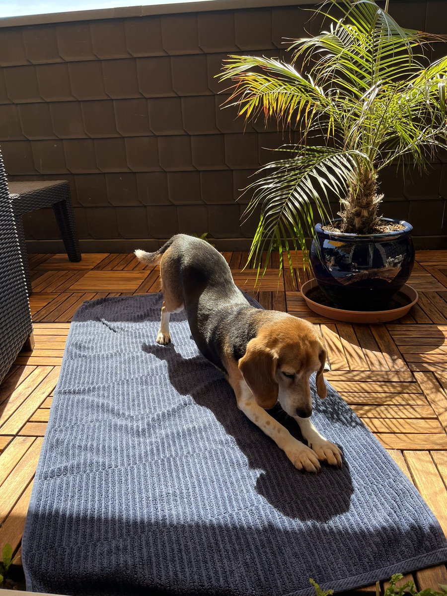 ehaffson tweet media