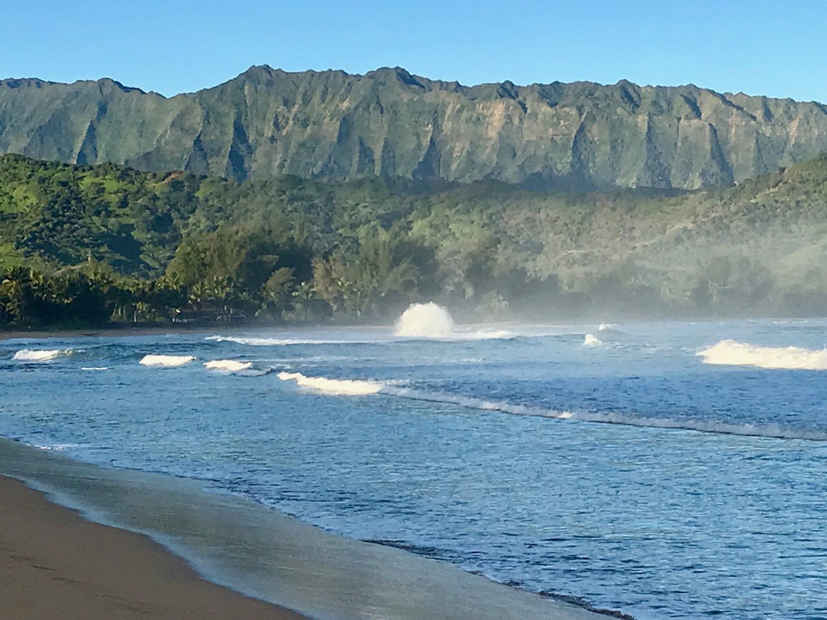 Catherine McCarthy MD, FAAFP (@mccashie) on Twitter photo 