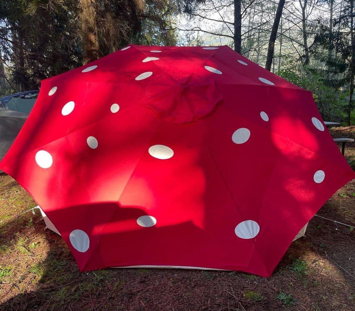 I MUST HAVE THE MUSHROOM TENt