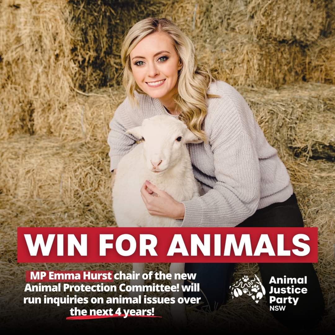 Animal Justice Party (@animaljusticeAU) on Twitter photo 2023-06-22 05:44:47