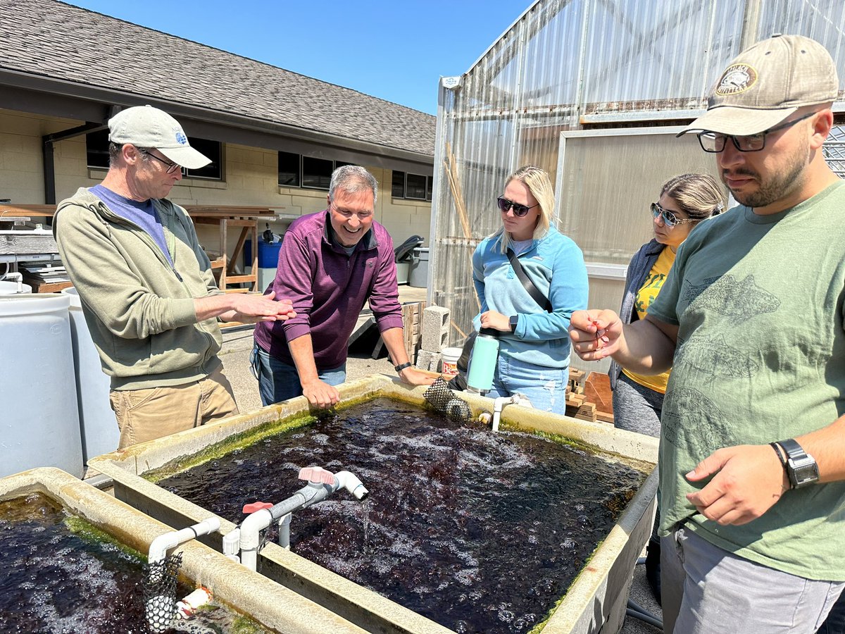 marwalters22's tweet photo. Day 3 of #vimsmsci552 brought more great conversations and insights from two very different #shellfish hatcheries - the @HatfieldMSC Molluscan Broodstock Program &amp; the Whiskey Creek Shellfish Hatchery! 
🦪 Fun Fact: Whiskey Creek was the first hatchery on the West Coast! 🦪 https://t.co/oZeSwMTGnH