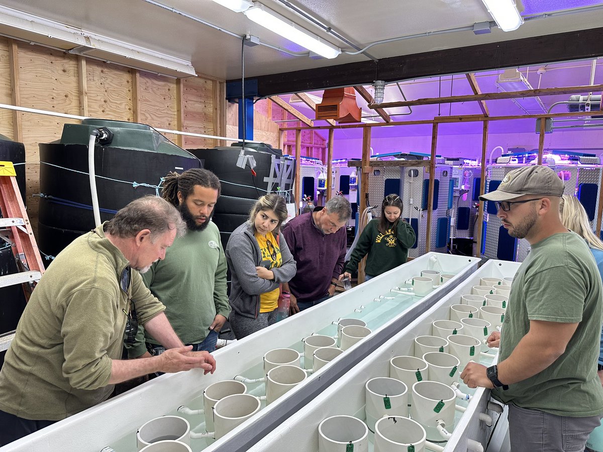 marwalters22's tweet photo. Day 3 of #vimsmsci552 brought more great conversations and insights from two very different #shellfish hatcheries - the @HatfieldMSC Molluscan Broodstock Program &amp; the Whiskey Creek Shellfish Hatchery! 
🦪 Fun Fact: Whiskey Creek was the first hatchery on the West Coast! 🦪 https://t.co/oZeSwMTGnH