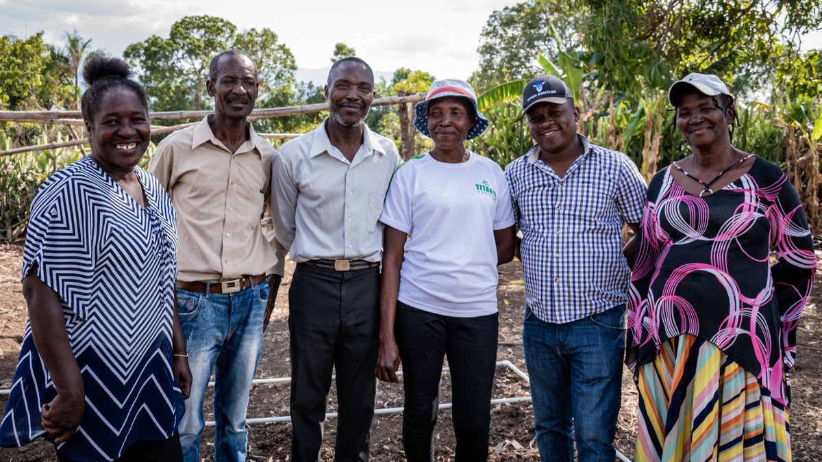 💧🌾 Fostering #ClimateResilience in #Haiti through effective water management + cropping techniques! 🌍🌱 Witness the inspiring story of women farmers adapting to drought. Available in all UN languages! #SAGA 👉 ow.ly/MefP50OTNN0 @MRIF_Quebec @FAOHaiti @UNCCD