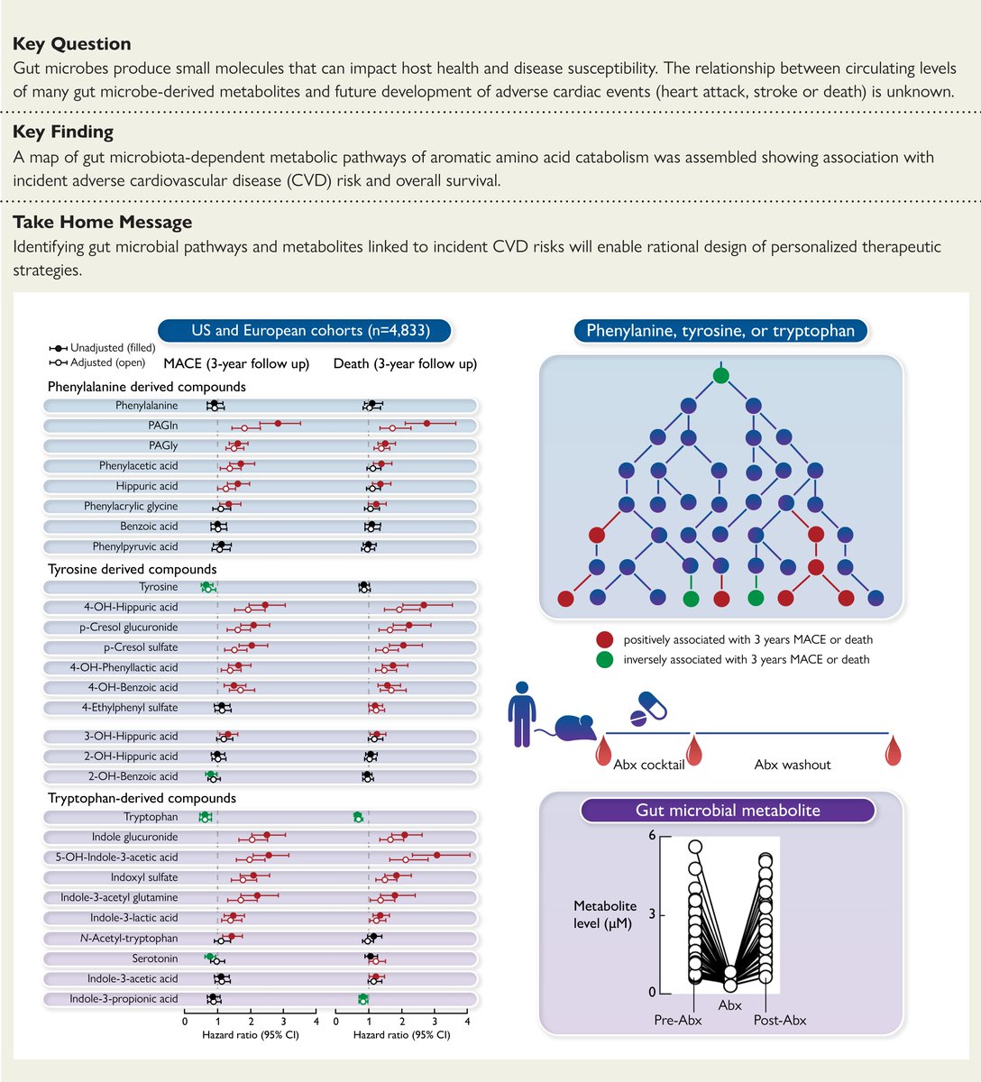 ehj_ed's tweet photo. Atlas of gut microbe-derived products from aromatic amino acids and risk of cardiovascular morbidity and mortality. A new research article just published in #EHJ

@escardio @ESC_Journals #CardioTwitter #cardiovascularrisk #gutmicrobiota

https://t.co/qDIyFqLNfq https://t.co/hi67rDt43A