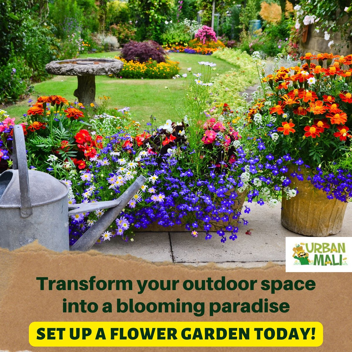 Escape to a blooming paradise right in your backyard. Let nature's colors and fragrances surround you as you transform your outdoor space into a floral wonderland.

#Gardendesign #Flowergarden #GreenThumbsUp #plantaddict #plantlife #urbangardening #homegardening #urbanmali