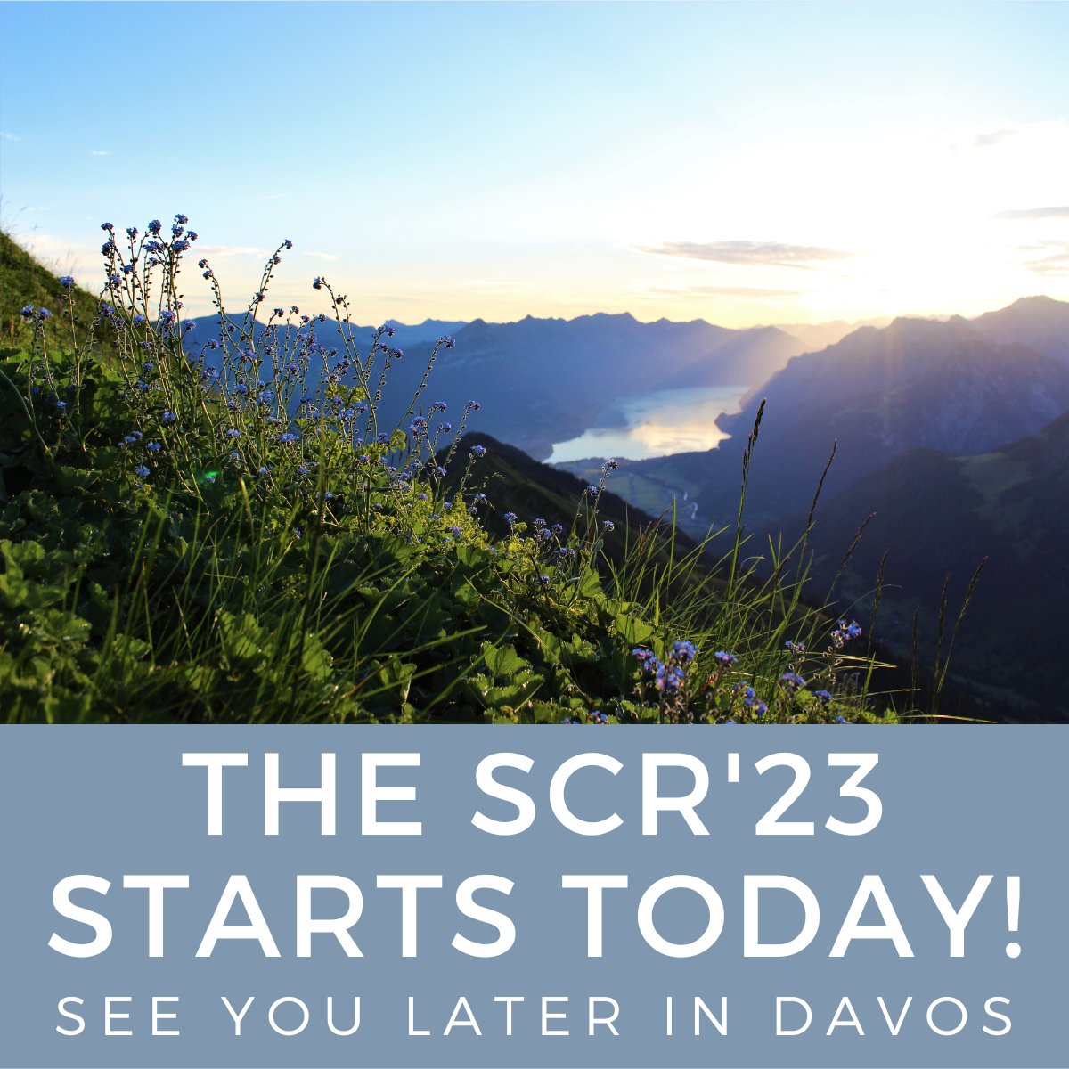 info_scr's tweet photo. 🌄 We are looking forward to welcoming you at Davos Congress 𝐭𝐨𝐝𝐚𝐲!
📱Make sure to 𝐝𝐨𝐰𝐧𝐥𝐨𝐚𝐝 𝐨𝐮𝐫 𝐚𝐩𝐩 for the full experience.
✅Make sure to 𝐠𝐞𝐭 𝐬𝐜𝐚𝐧𝐧𝐞𝐝 to guarantee the right attendance on your 𝐜𝐞𝐫𝐭𝐢𝐟𝐢𝐜𝐚𝐭𝐞.
https://t.co/uXAcZaCzic
#SCR23 https://t.co/h9QexcsduJ