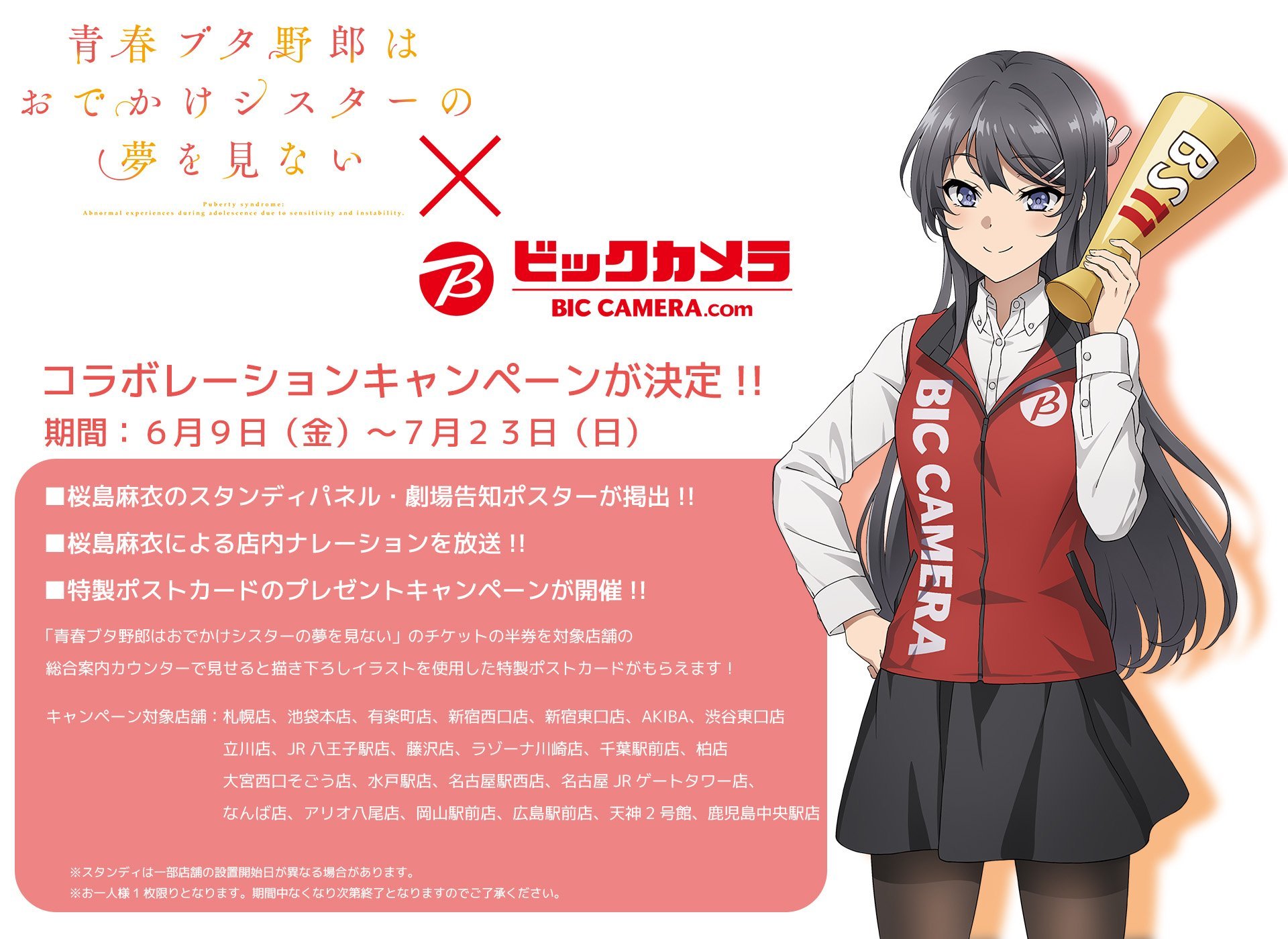 ビックカメラ藤沢店【公式】パネルと名刺は2階🦑 on X: 