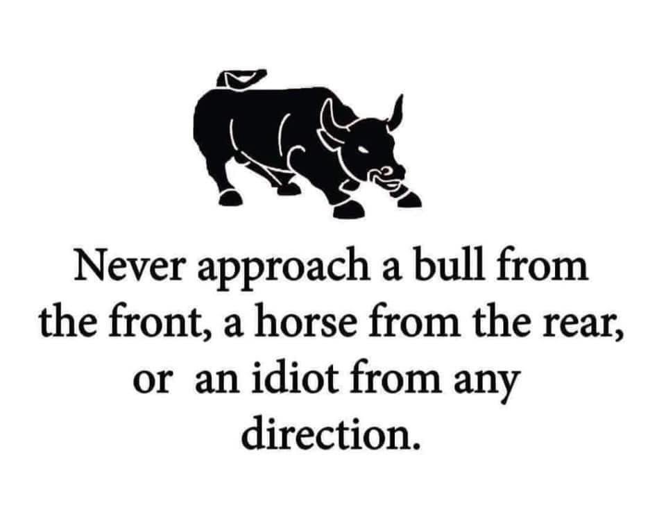 Priya Krishnan tweet media