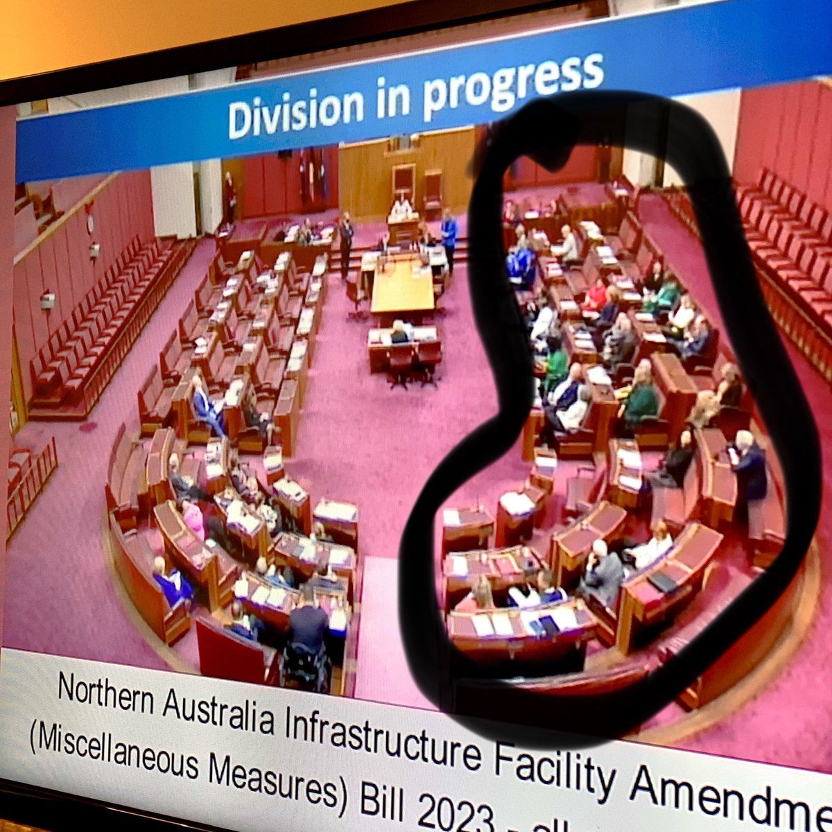 Labor just gave more public money to coal &amp; gas.

The Greens tried to stop the NAIF, an Abbott-era coal and gas slush fund, being used for projects like Middle Arm and Beetaloo.

But Labor and the Liberals blocked our amendment and topped up the NAIF by another $2 billion. 😠