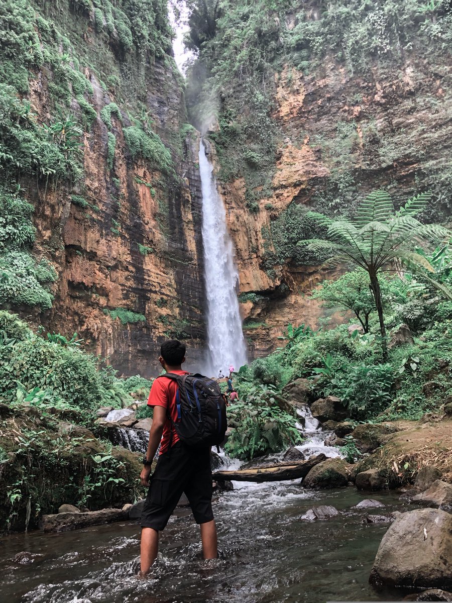 Wego Indonesia tweet media