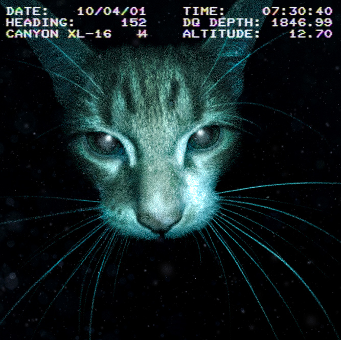 Valdevia_Art's tweet photo. That time I turned this cat into a deep-sea creature :) https://t.co/fAra9D9LBT
